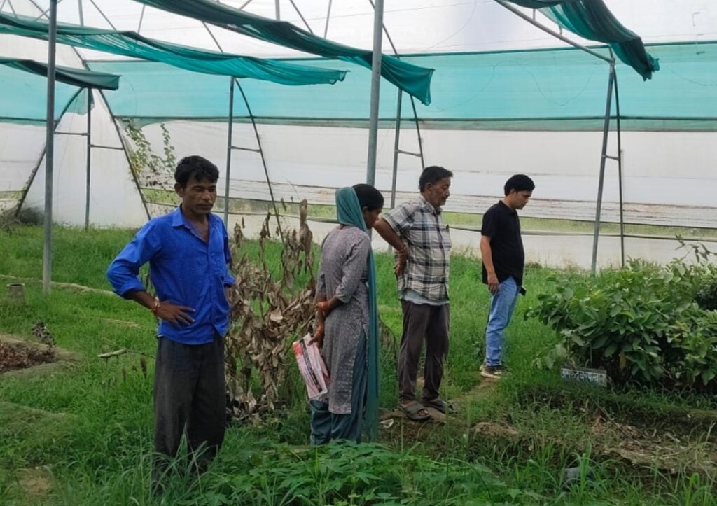 अमन संस्था,अल्मोडा, उत्तराखंड द्वारा समुदाय विकास की दिशा में एक और कदम – पौध वितरण कार्यक्रम संपन्न