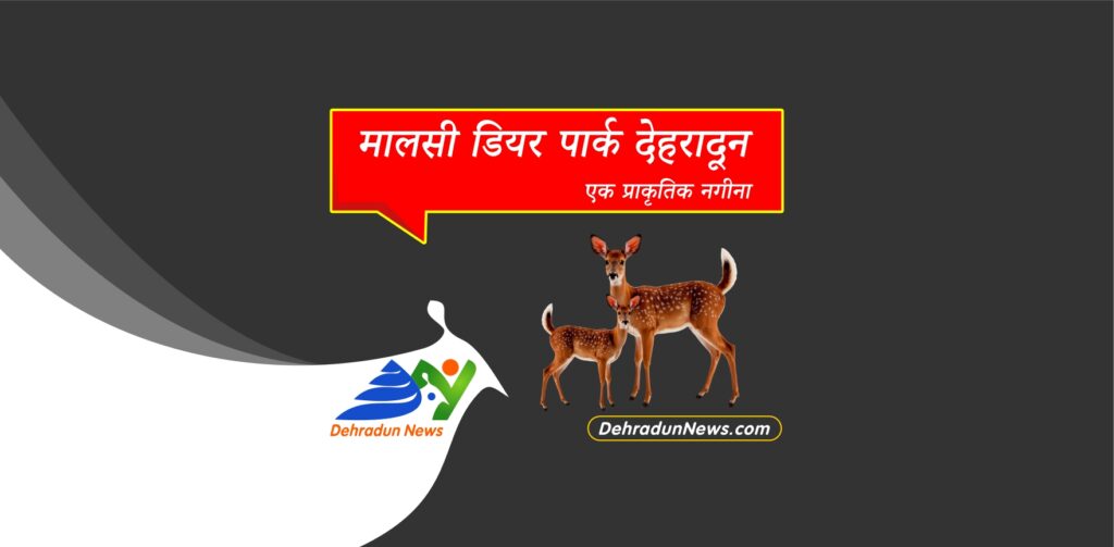 मालसी डियर पार्क देहरादून: प्रकृति का एक शांतिपूर्ण स्वर्ग